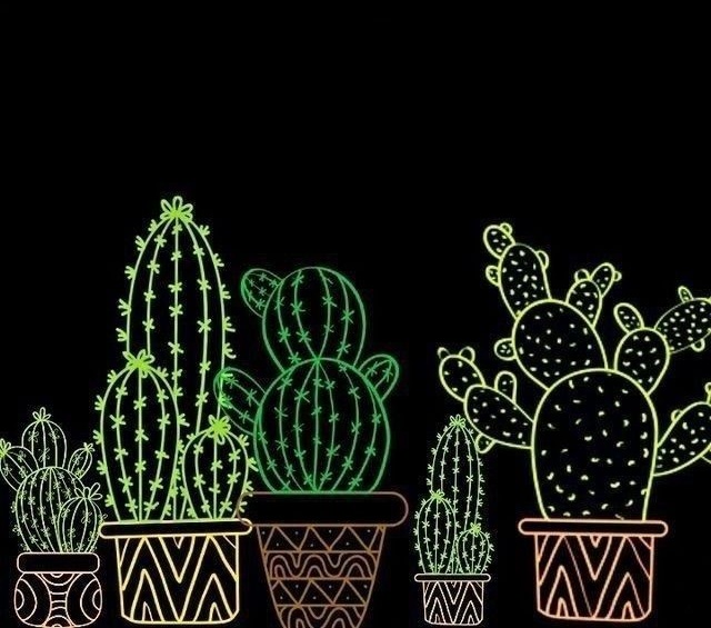 kaktus03